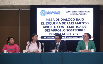 ANALIZAN DIPUTADOS EN PARLAMENTO ABIERTO PEF DESDE LA PERSPECTIVA DE DESARROLLO SOSTENIBLE